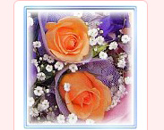 ������, ���˸`�ּ֡I �d�D�� ���˸` §�� �J�| �A�� �q�� flower-happy-mothers-day